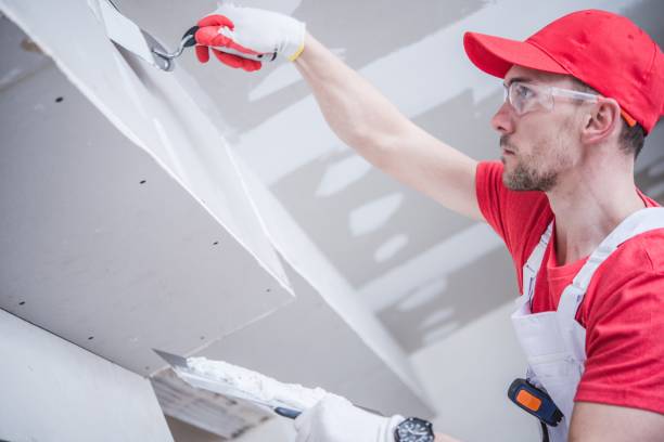 Professional Painting & Drywall Installation in Murphysboro, IL